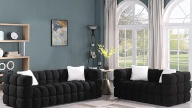 Dolonm Cloud Sofa Set Stylish Comfort Meets Easy Assembly