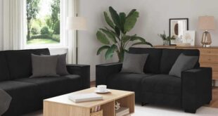 Black Velvet 2 Piece Sofa Set Comfort Meets Modern Style