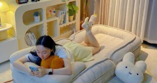 Maximizing Small Spaces Stylish Comfort With A Convertible Sofa Bed