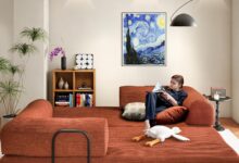 Transforming Small Spaces With A Vibrant And Versatile Sofa Bed