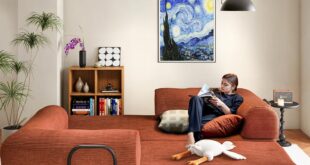 Transforming Small Spaces With A Vibrant And Versatile Sofa Bed