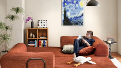 Transforming Small Spaces With A Vibrant And Versatile Sofa Bed