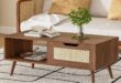 Diyart Brown Rattan Coffee Table Fits Your Living Room