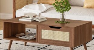Diyart Brown Rattan Coffee Table Fits Your Living Room
