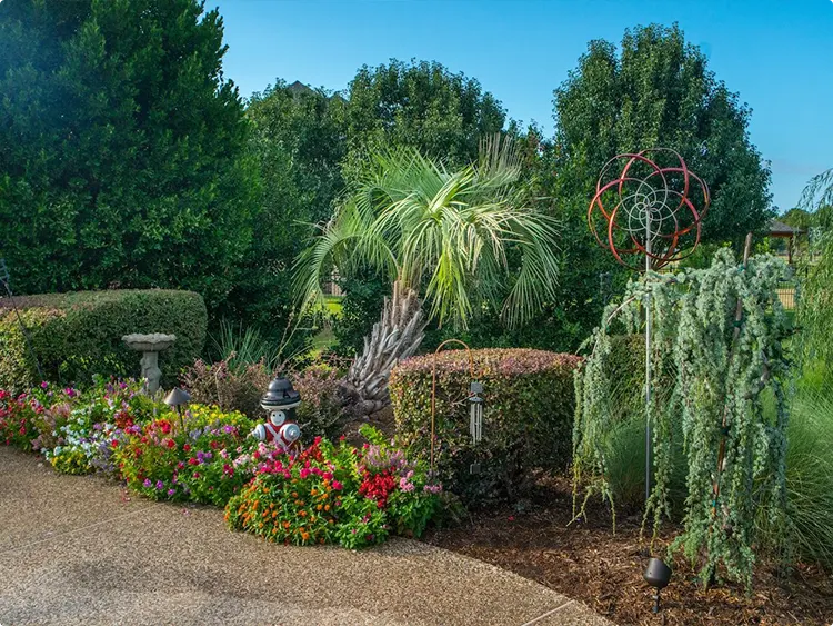 Front Yard Texas Native Landscaping Ideas