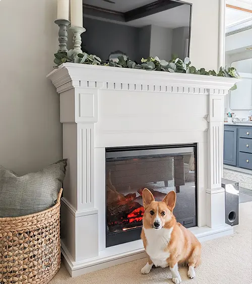 Electric Fireplace Ideas