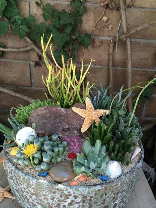 Beach-Themed Fairy Garden