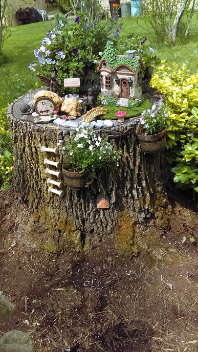 Enchanted Forest Fairy Garden
