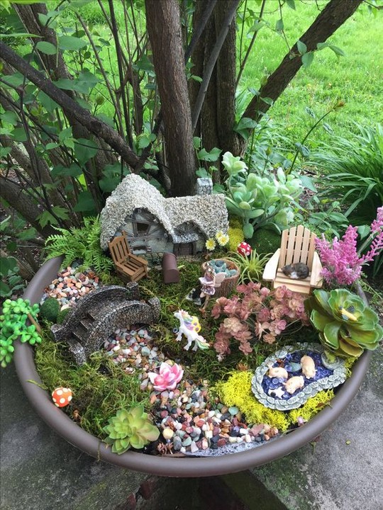 Secret Garden in a Drawer