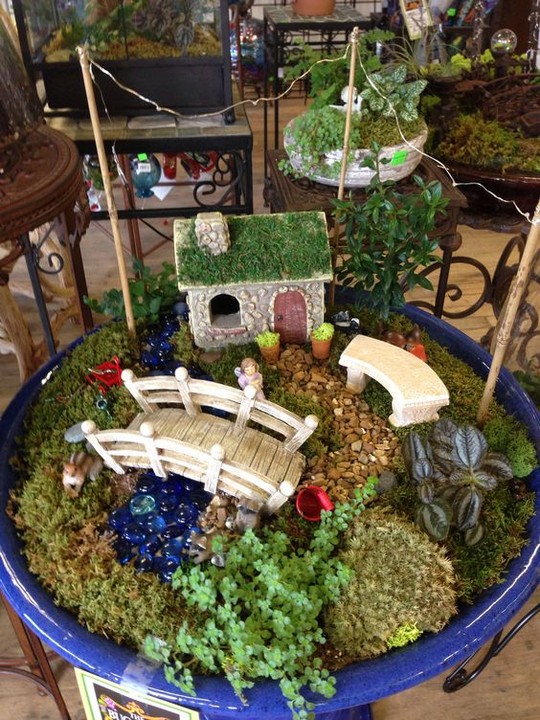 Desert Oasis Fairy Garden