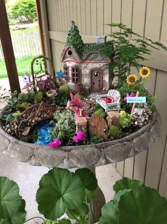 Rainforest Fairy Garden