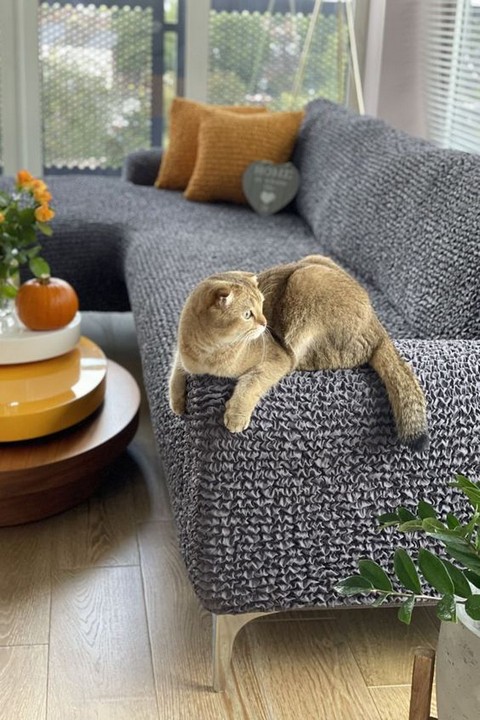 Boho Furniture Covers
