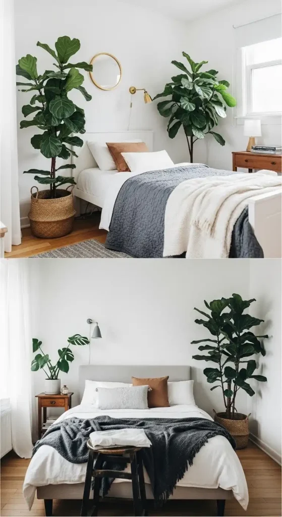 Large Statement Plant