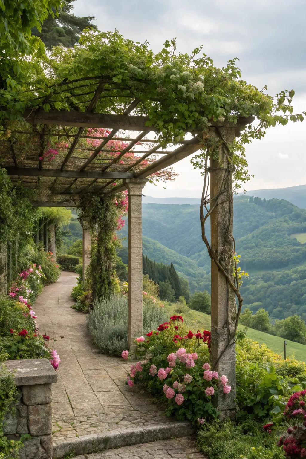 Pergolas provide shade and architectural interest.