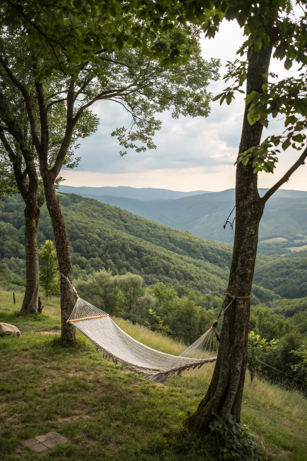 A hammock creates a relaxing spot to rest amid natural beauty.