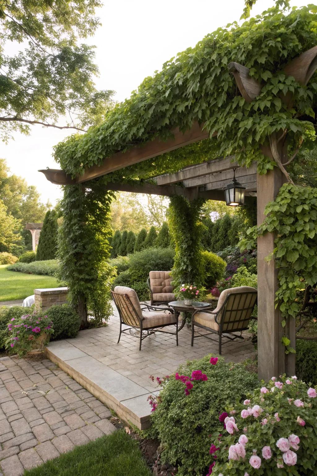 A pergola offers both style and shade to your outdoor space.