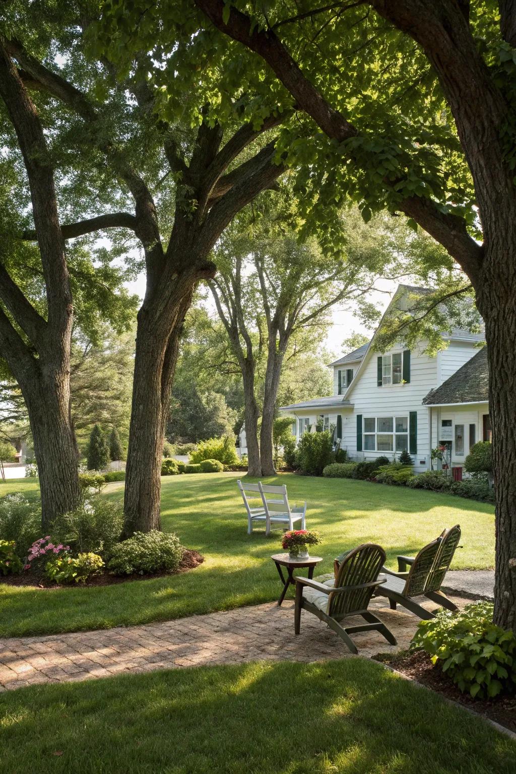 Tree clusters can provide a peaceful escape in your front yard.