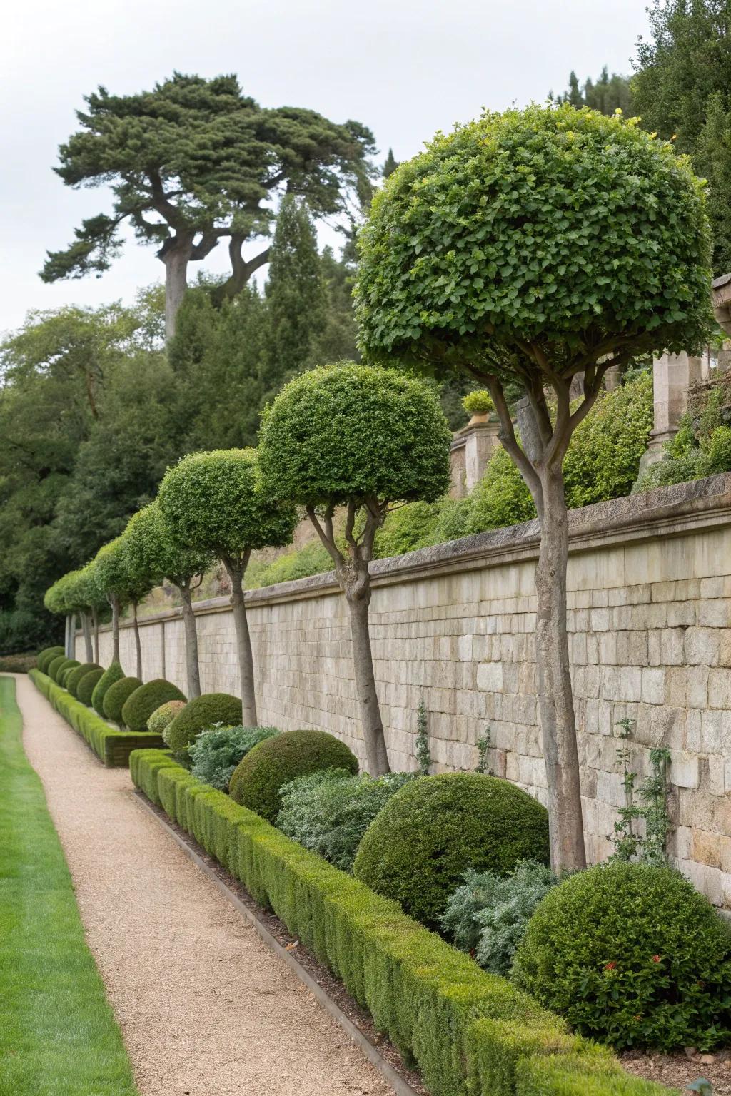 Espaliered trees create an elegant vertical display.