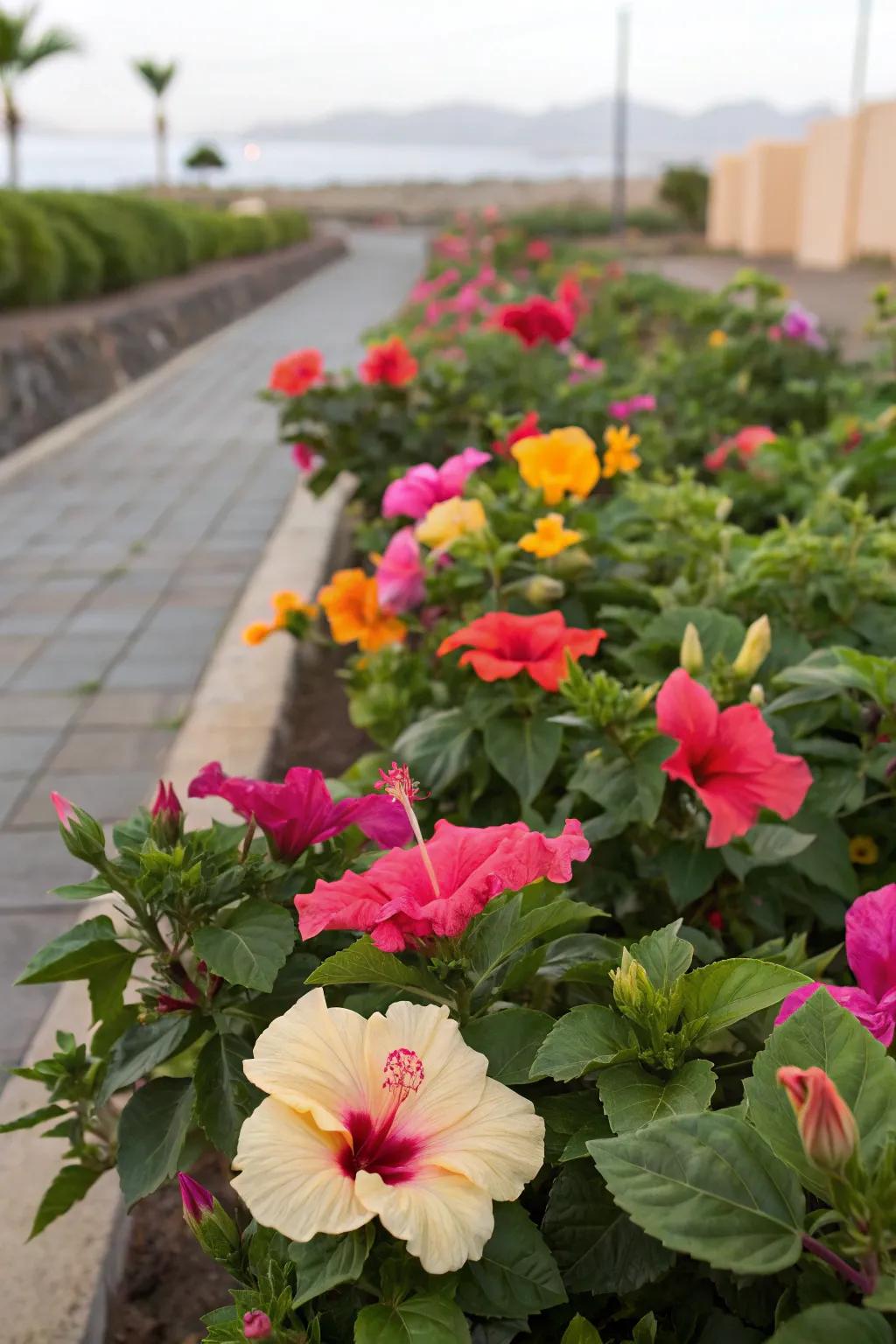 Bright blooms add color and joy to your garden.