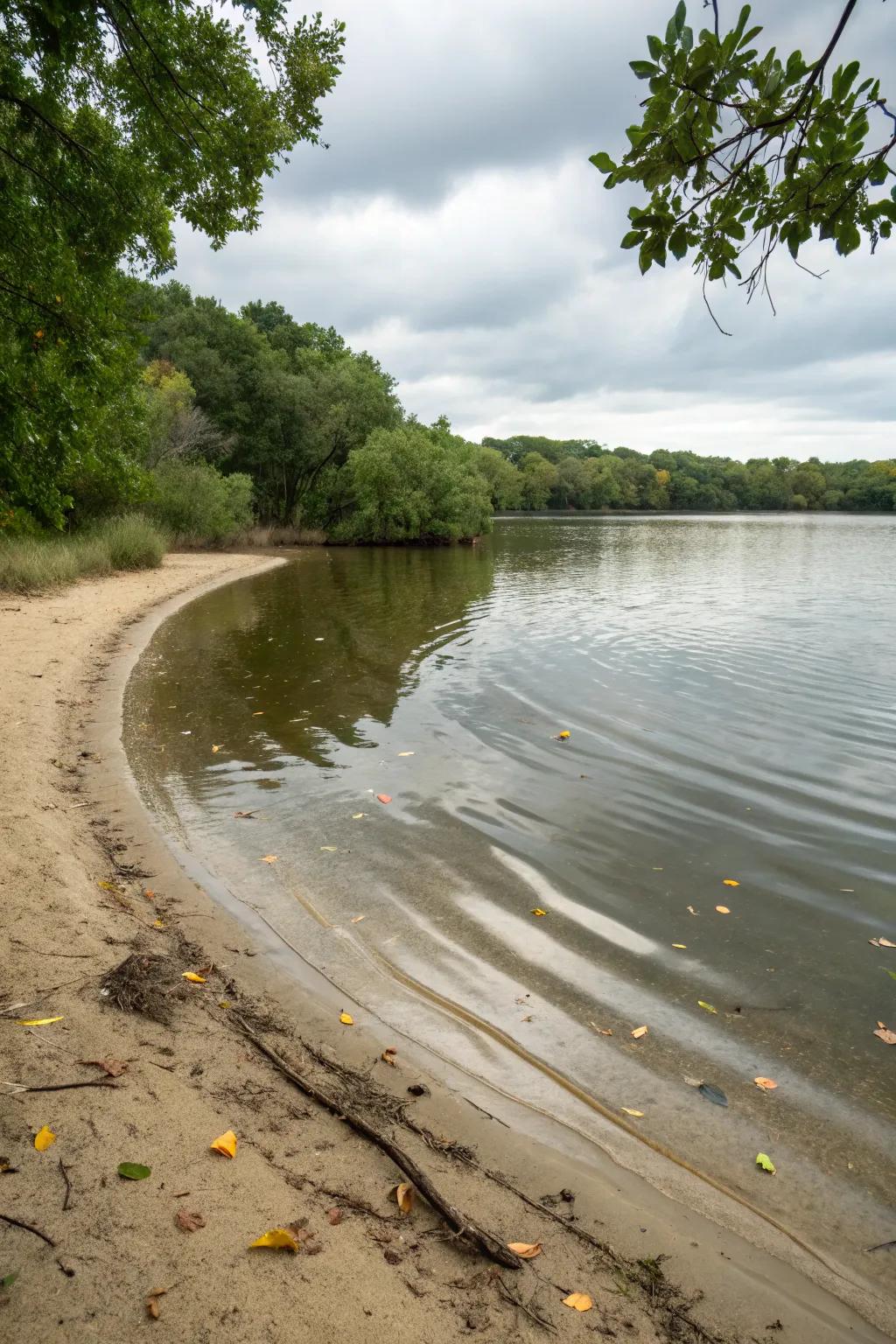 A sandy shoreline creates a genuine beach atmosphere by your pond.