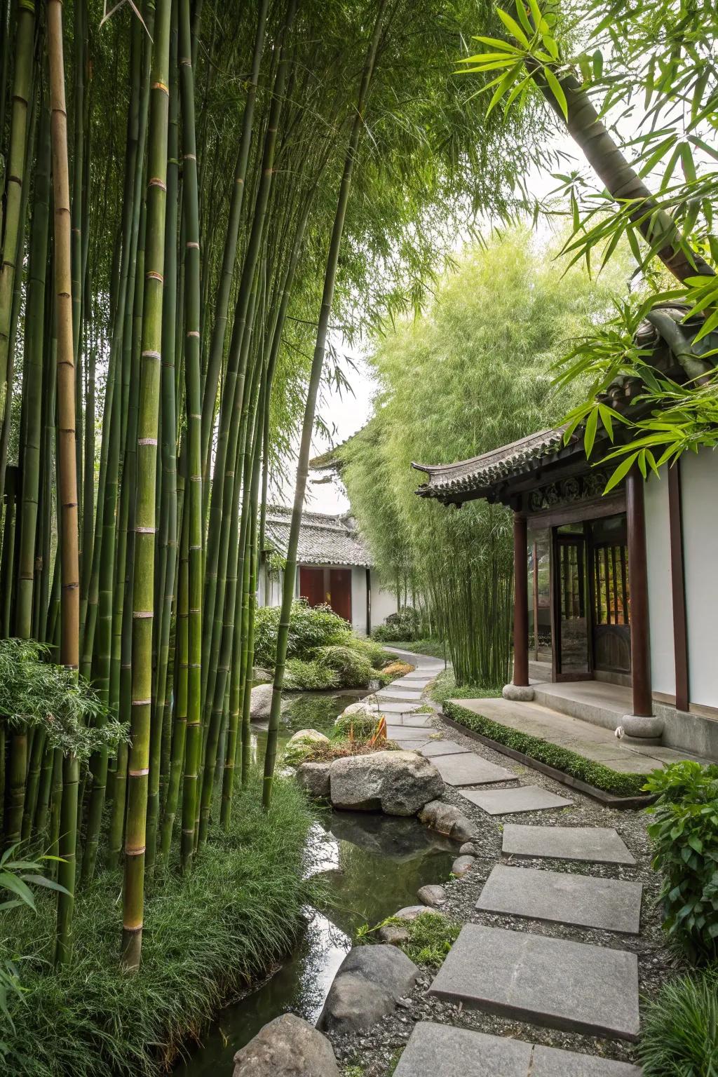 Bamboo: A beautiful blend of form and function.