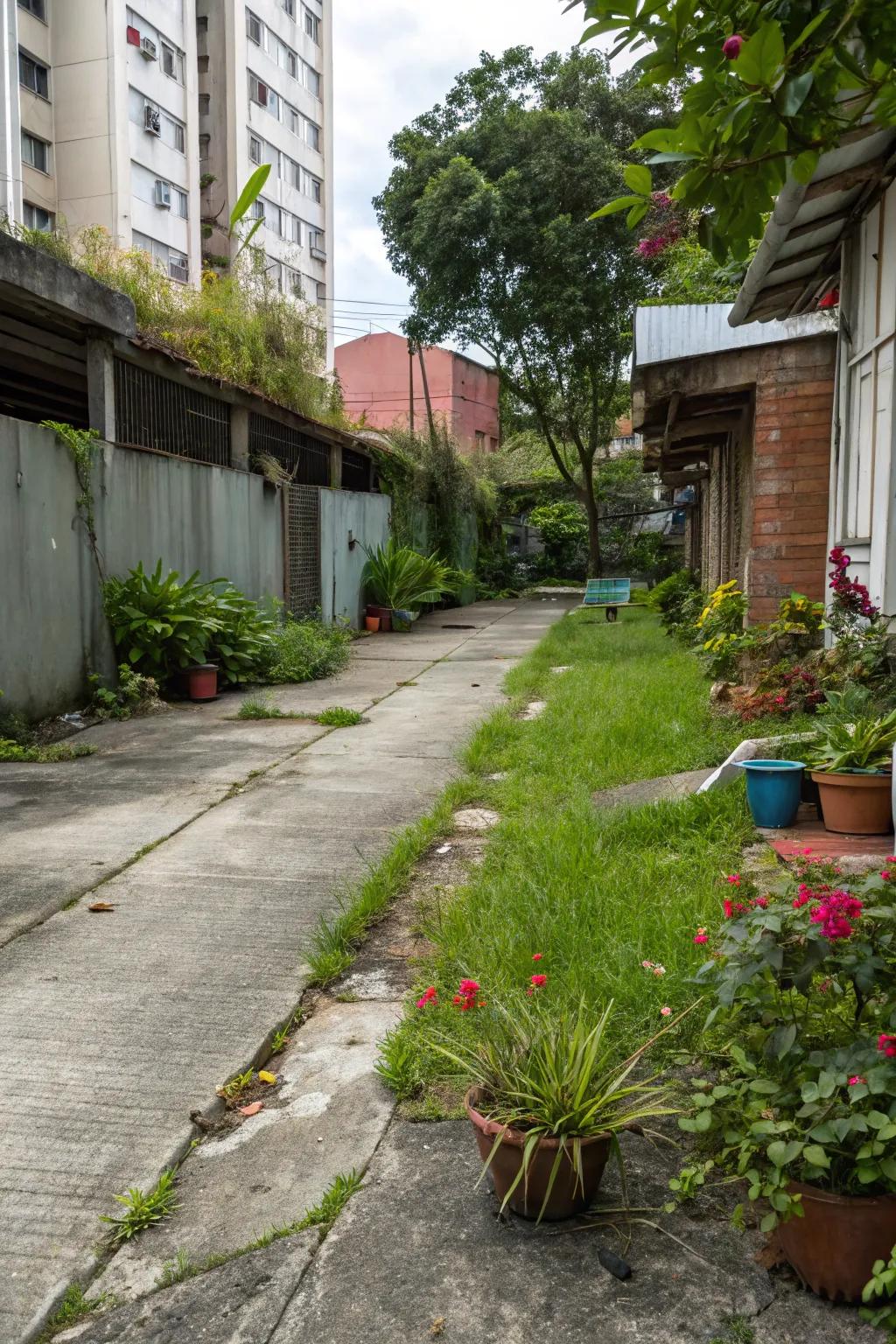 An urban jungle with lush greenery.