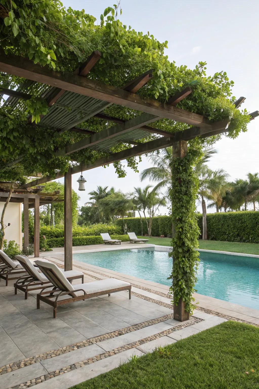 A perfect poolside retreat under a stylish pergola.