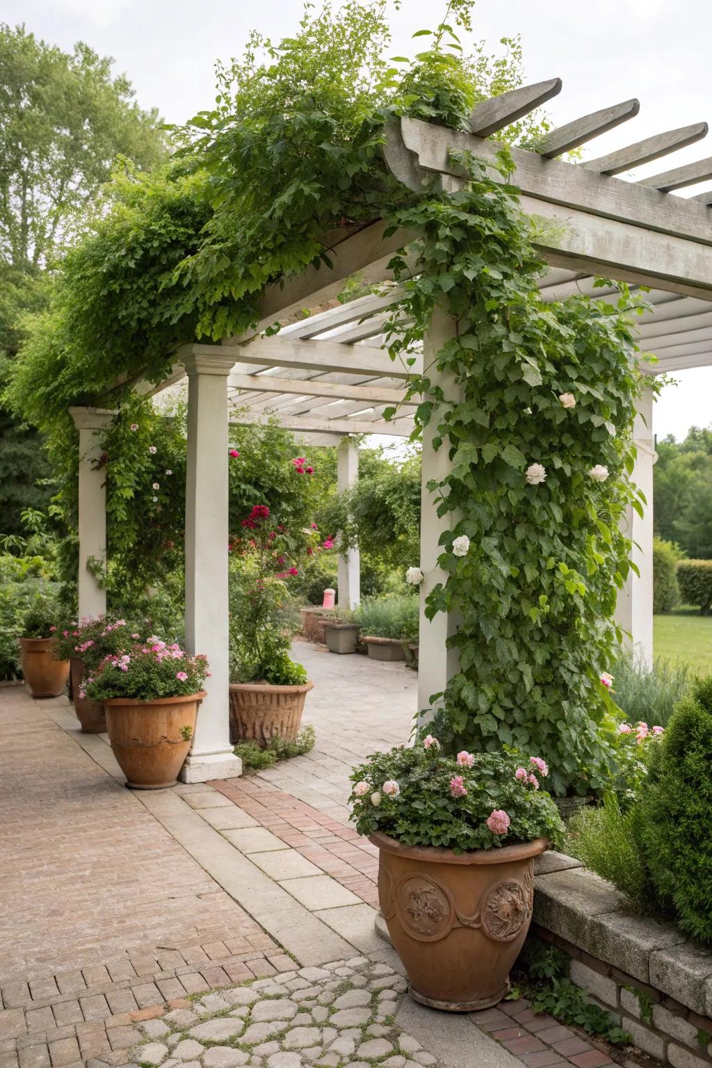 A pergola seamlessly integrated with lush garden elements.