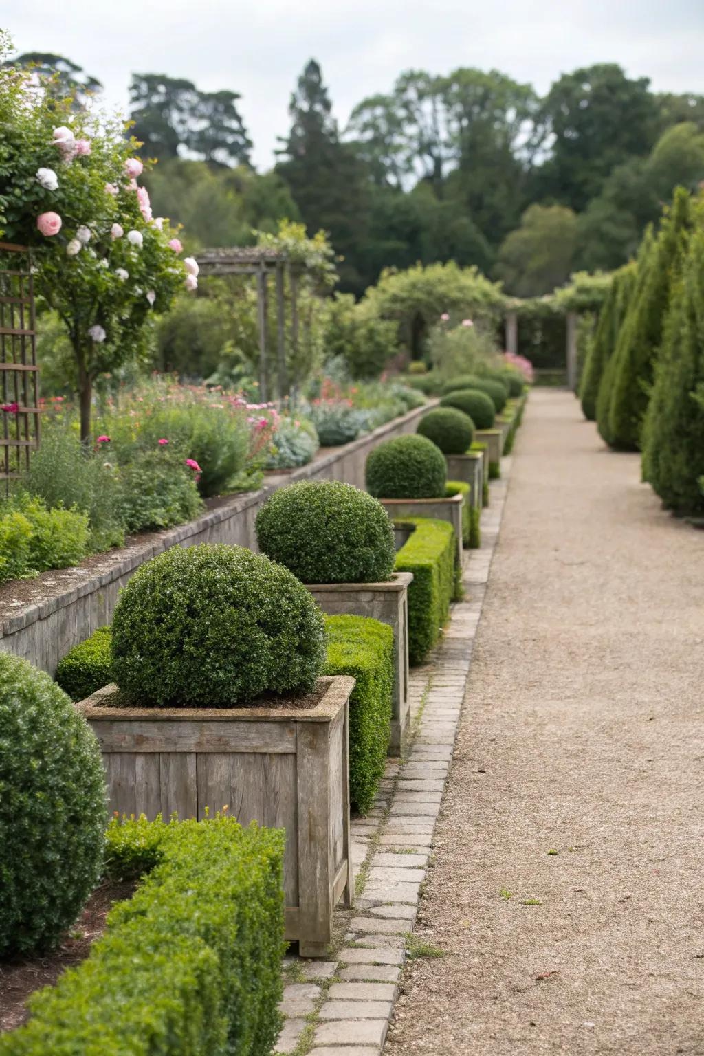 Boxwood planters create alluring borders for pathways.