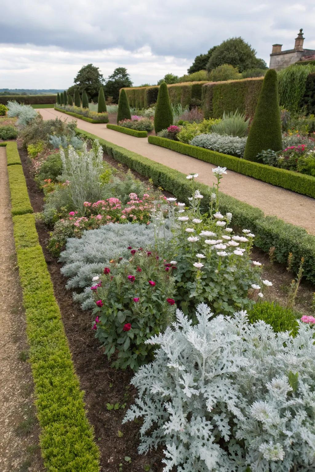 Symmetrical dusty miller groupings for formal gardens.