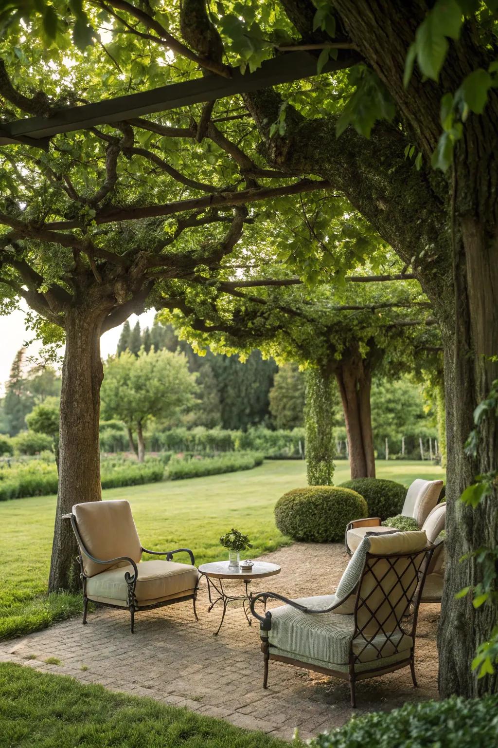 Greenery offers natural shade and beauty.