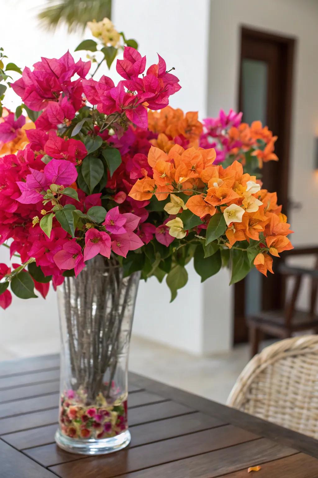 Bougainvillea bouquets bring vibrant color to floral arrangements.