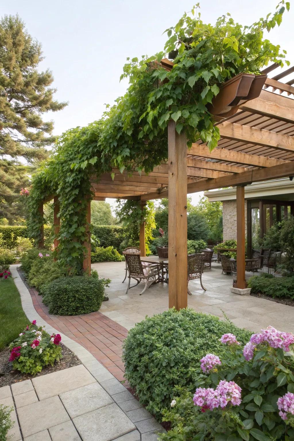 A charming pergola offering shade and style.