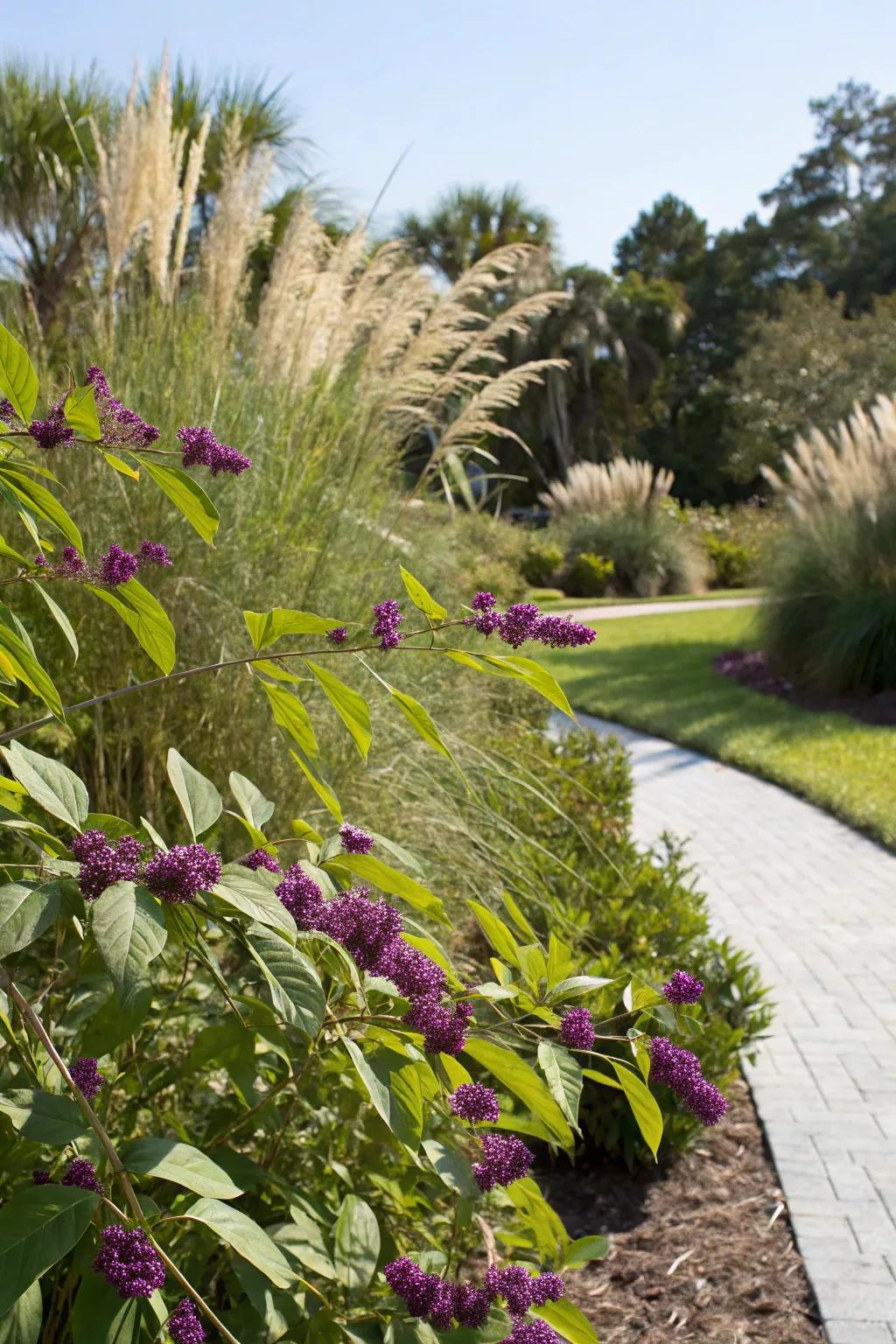 Native Florida plants create a thriving, low-maintenance garden.