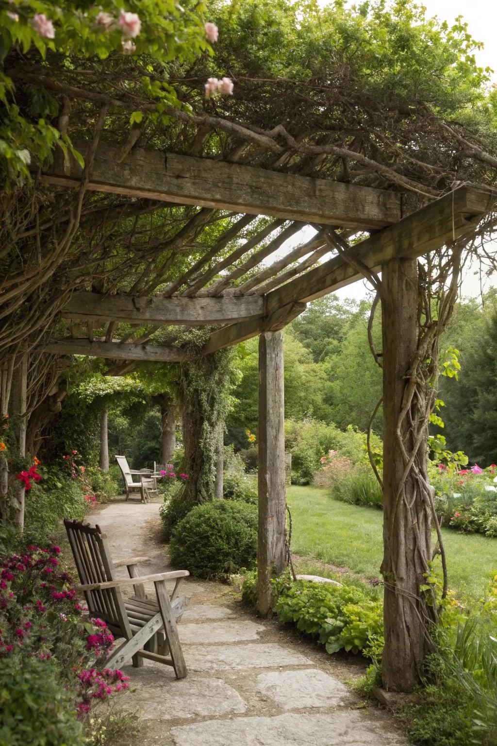 A rustic pergola offers a shaded garden retreat.