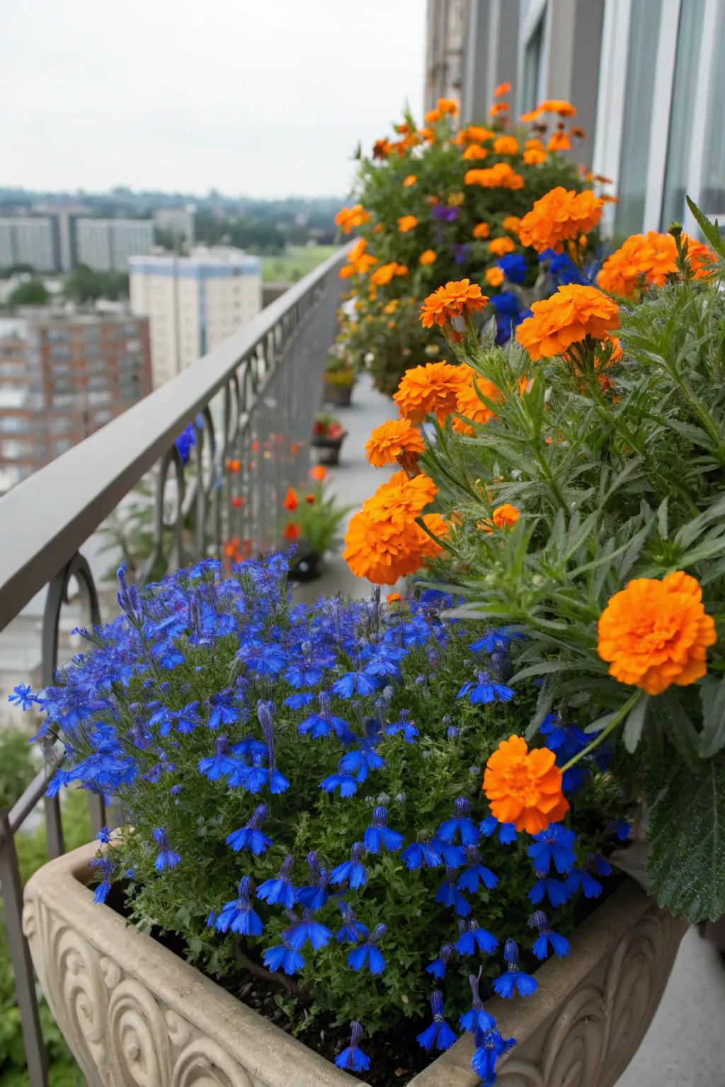 A stunning arrangement of flowers with contrasting colors.