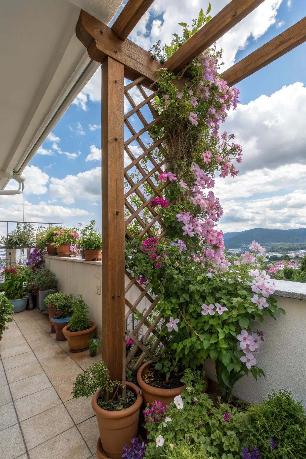 A lush trellis draped in blooming clematis.