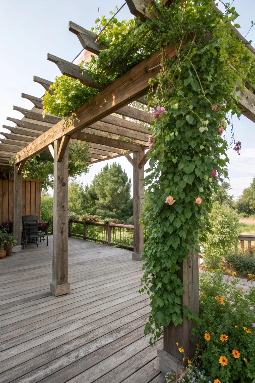 Wooden pergola adding charm and shade.