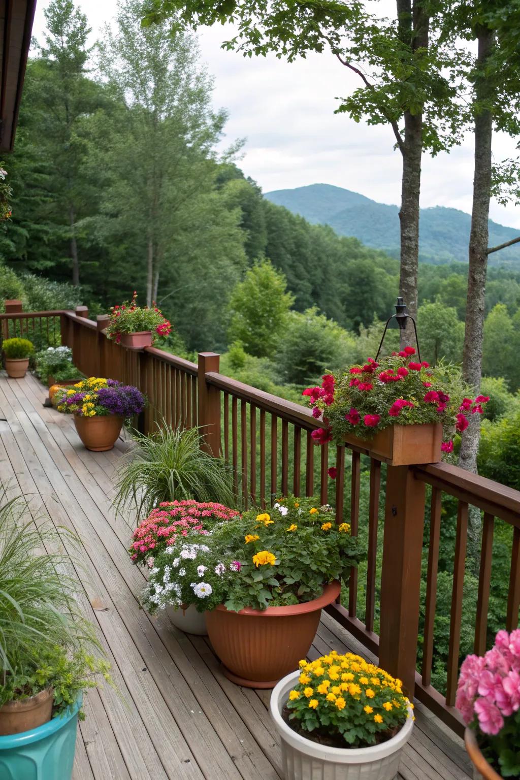 Colorful flowering accents adding vibrancy.