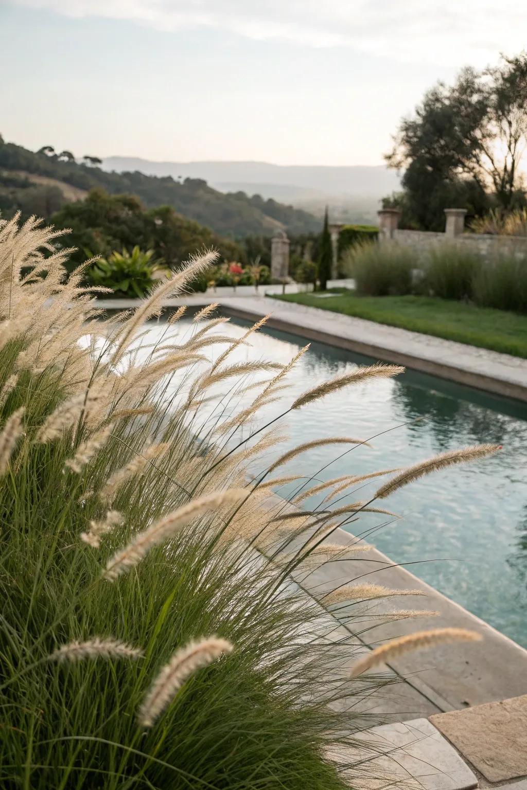 Ornamental grasses bring texture and movement to your poolside.