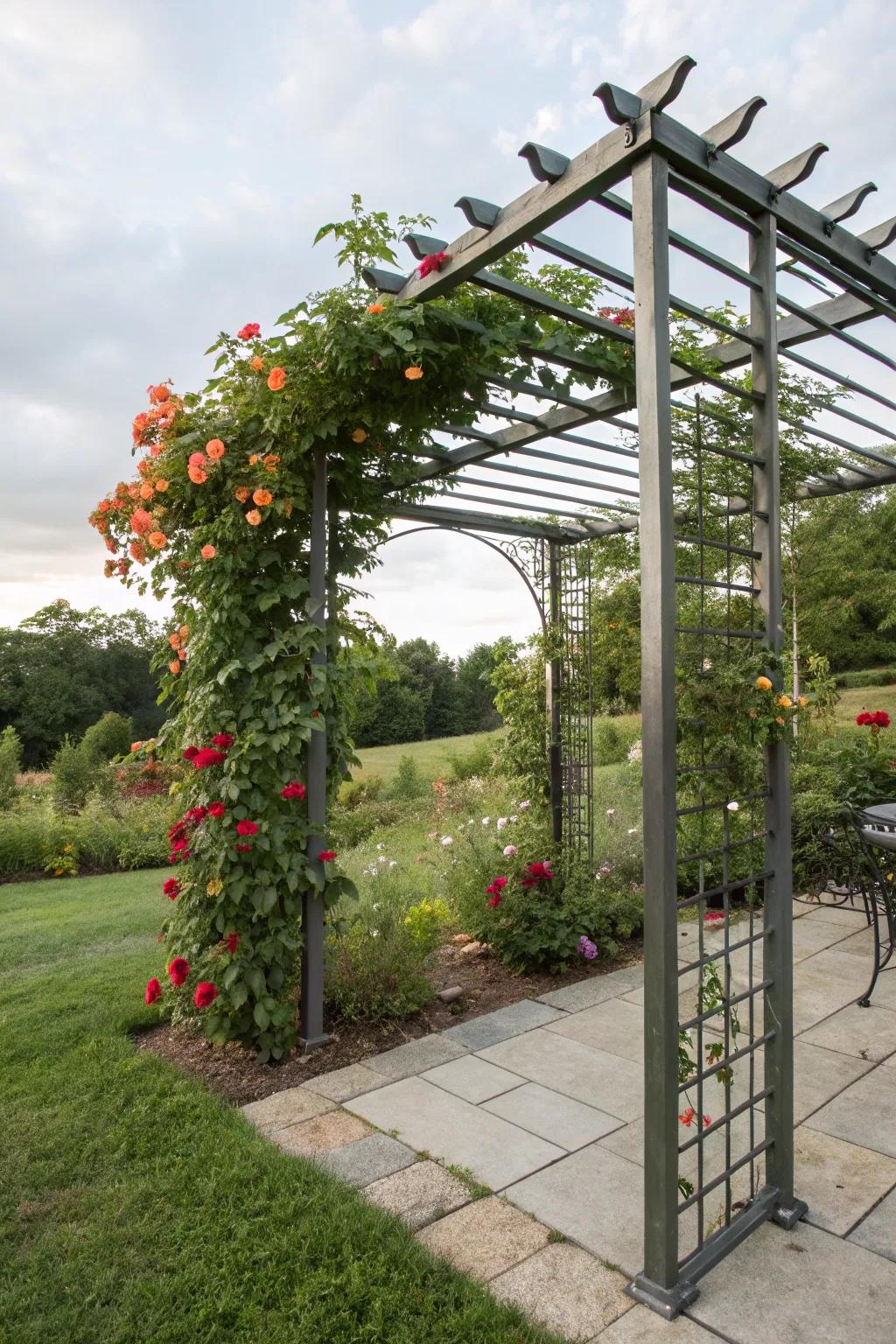 A trellis top pergola encourages beautiful climbing plants.