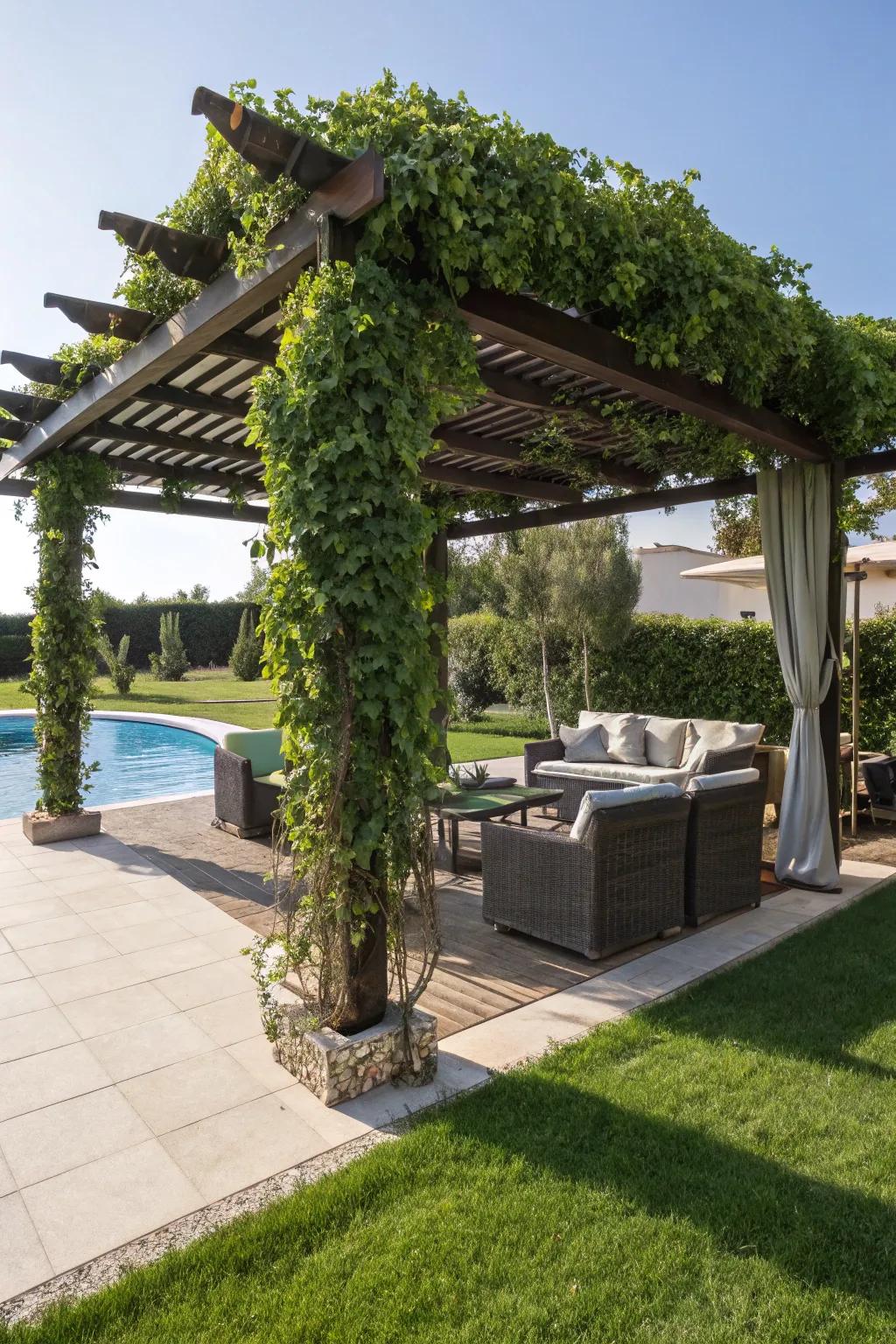 Comfortable seating beneath a poolside pergola wrapped in vines.