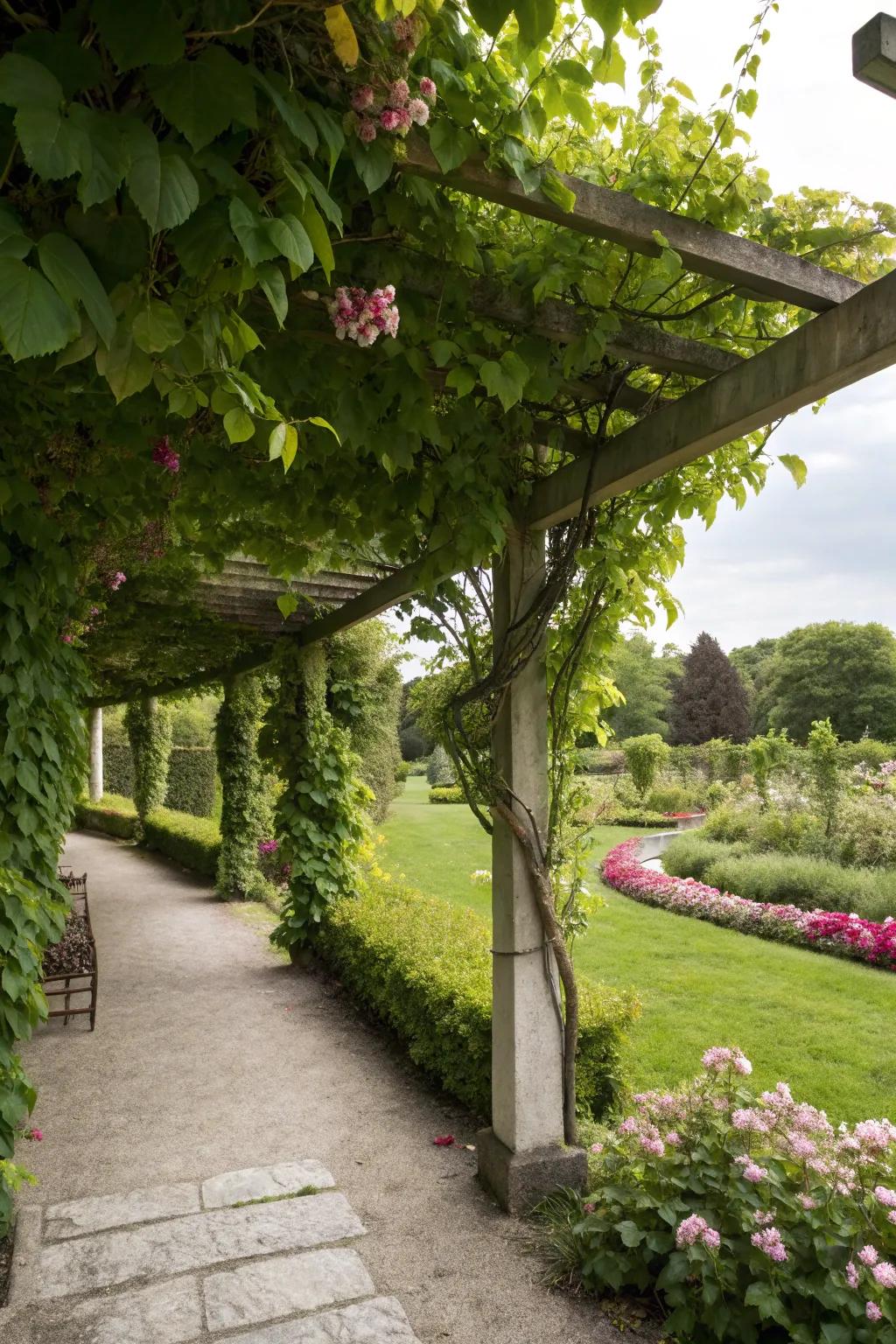 Pergolas offer shade and enhance the garden's beauty.