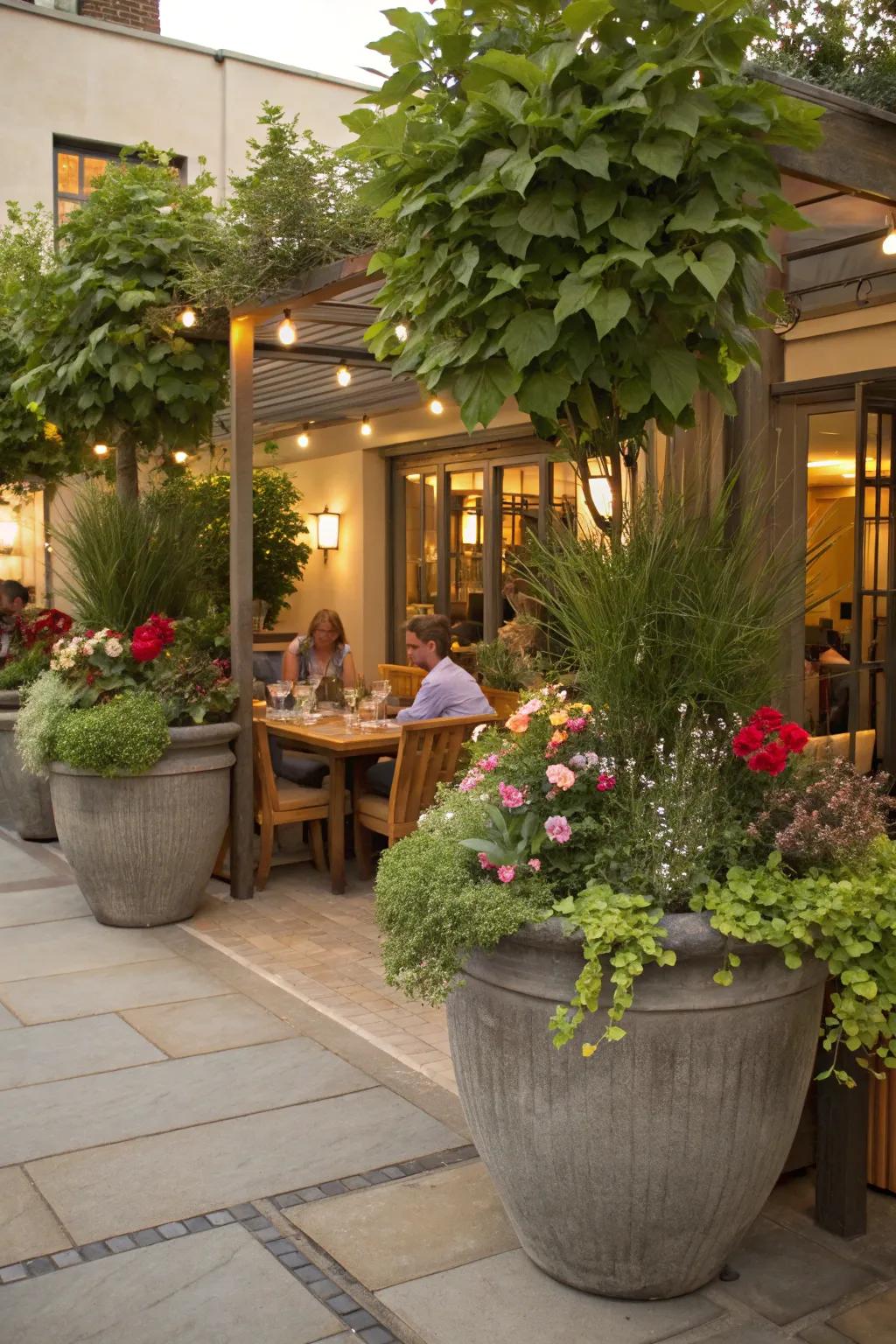 Create a lush ambiance for outdoor dining.