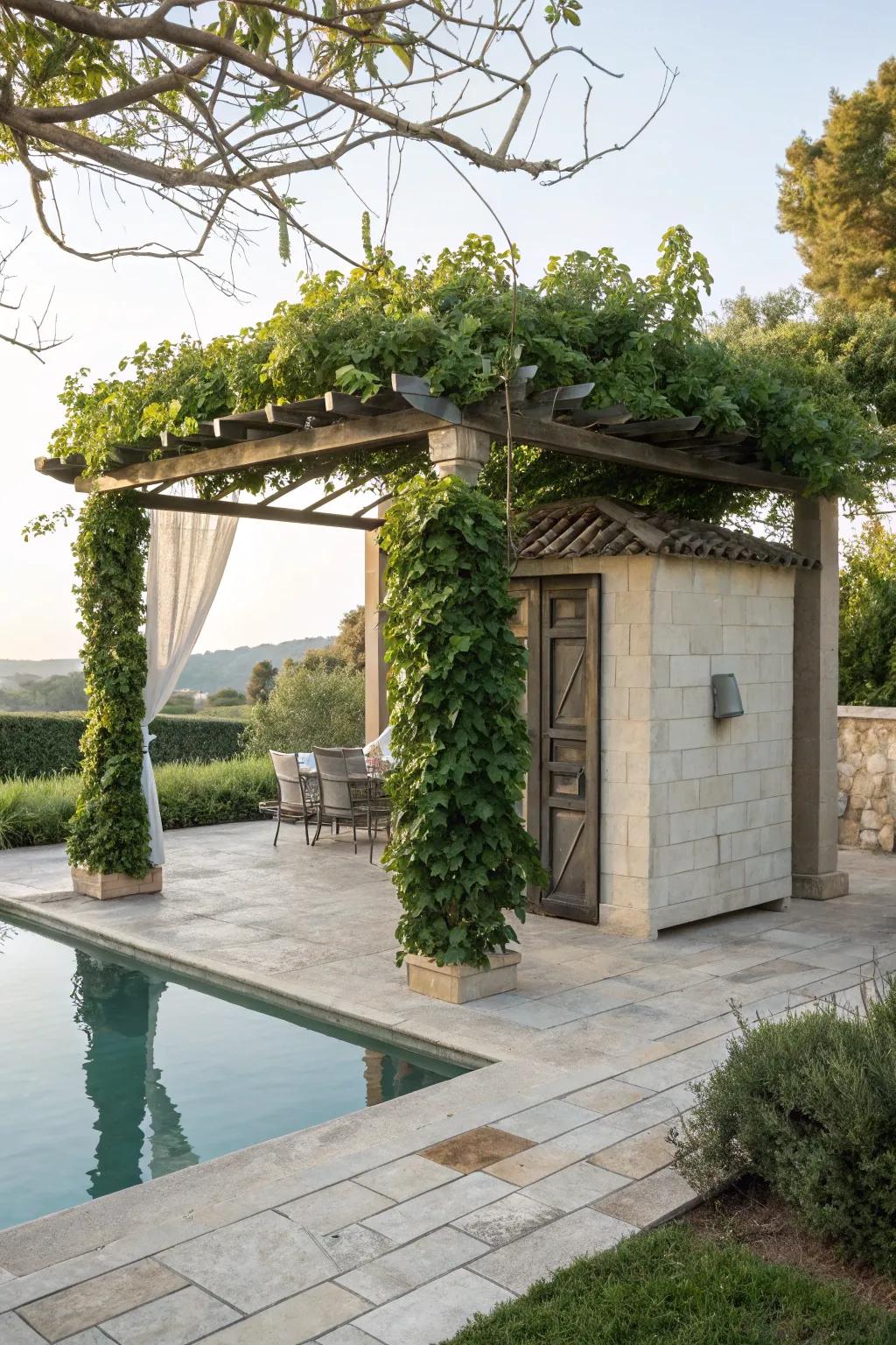 A pergola provides shade and enhances the aesthetic of your pool area.