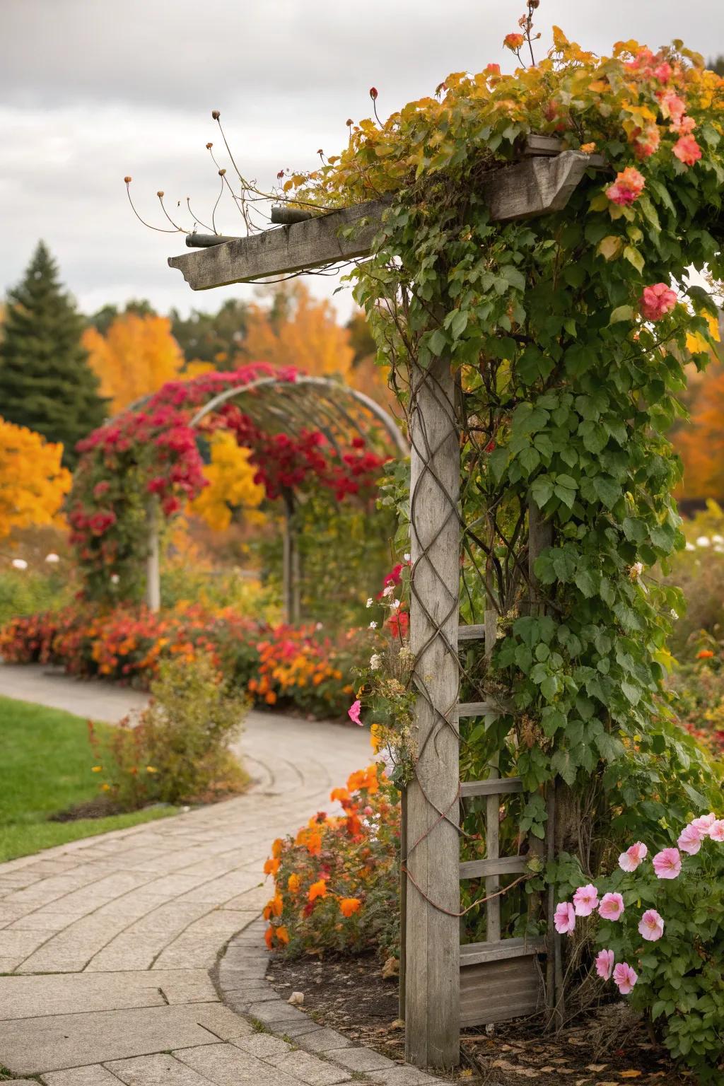Trellises with climbing vines add vertical interest to gardens.