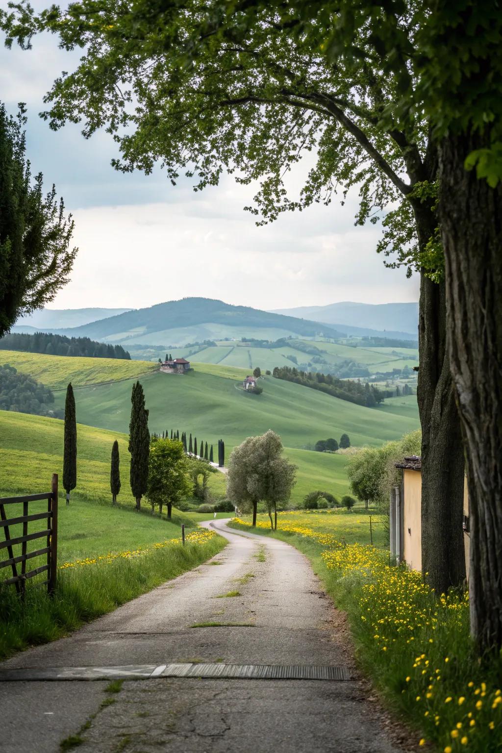 A pastoral landscape creates a serene and expansive atmosphere.