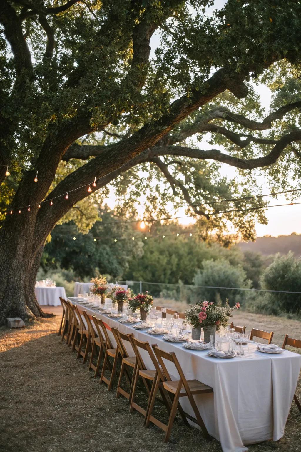 A communal dining setup is perfect for fostering conversation and connection.