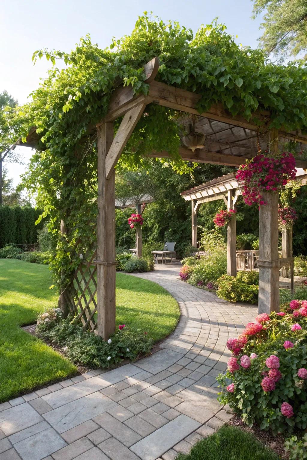 Classic wood pergola wrapped in flowering vines.