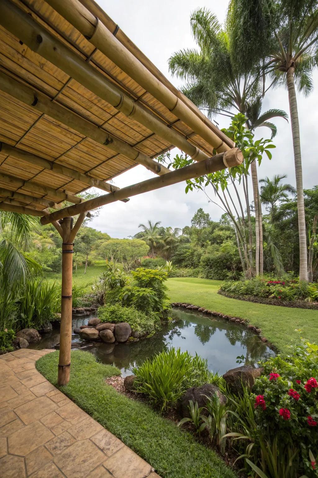 Bamboo canopy evoking a tropical paradise.